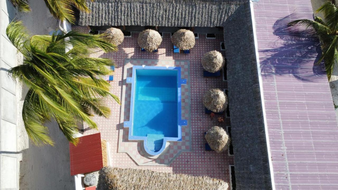 Amani Hotel Paje Zewnętrze zdjęcie